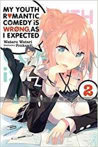 My Youth Romantic Comedy is Wrong as I Expected Light Novel 02