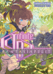 Infinite Dendrogram Light Novel 17: White Cat's Cradle